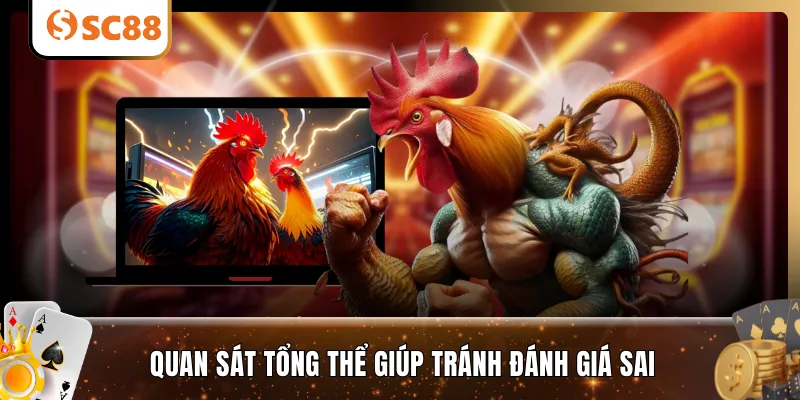 Quan sát tổng thể giúp tránh đánh giá sai
