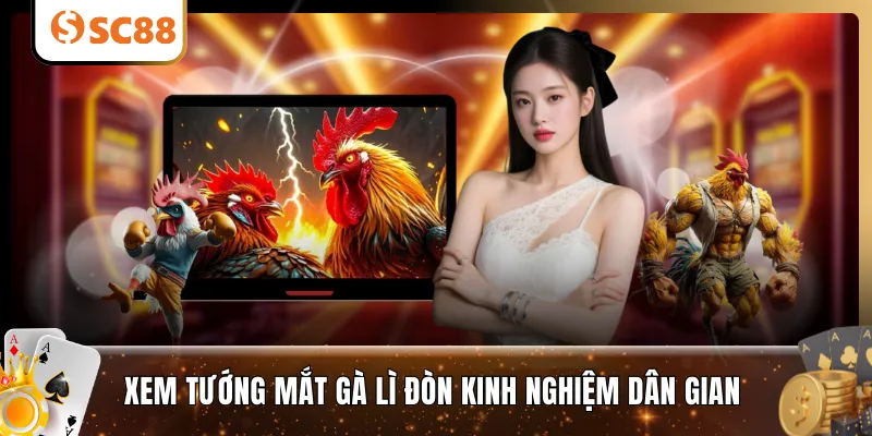 Xem tướng mắt gà lì đòn kinh nghiệm dân gian